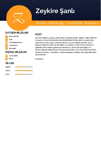 Hasta ve Yaşlı Bakım Elemanı Cv Örnekleri cv indir